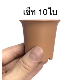 กระถางทรงปากแตรสีอิฐ กระถางกระบองเพชร กระถางแคคตัส ขนาด 2 นิ้ว เซ็ท 10 ใบ