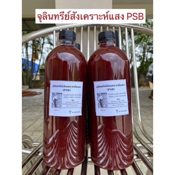 🪴หัวเชื้อจุลินทรีย์สังเคราะห์แสง PSB🪴พร้อมคู่มือขยาย สินค้าพร้อมส่งค๊าาา📦📦