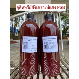 🪴หัวเชื้อจุลินทรีย์สังเคราะห์แสง PSB🪴พร้อมคู่มือขยาย สินค้าพร้อมส่งค๊าาา📦📦