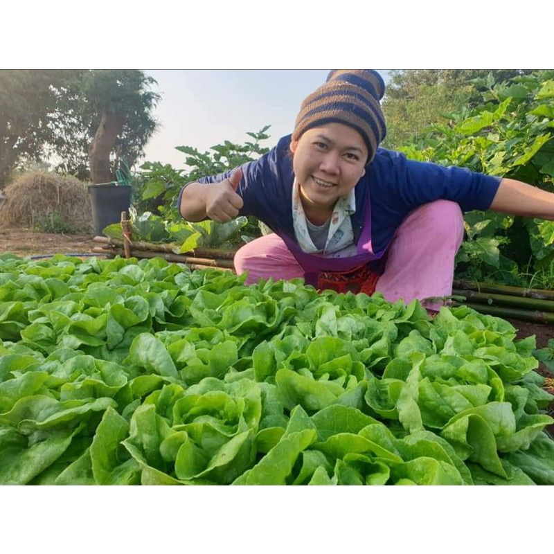 ปุ๋ยหมัก​มูล​เป็ด​​3กิโลส่งฟรี.. ได้ผ่านการหมักแบบธรรมชาติ​แล้วพร้อมใช้ - รูปที่ 3