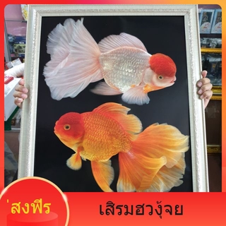 **ส่งฟรี**กรอบรูปกระจก ปลาเงิน ปลาทอง ค้าขาย เฮง มีเงินทอง ล้นหลาม เสริมฮวงจุ้ย วันเกิด ขึ้นบ้านใหม่ เปิดร้านใหม่