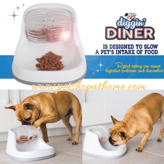 Petmate Diggin Diner ชามอาหาร และที่ให้อาหาร