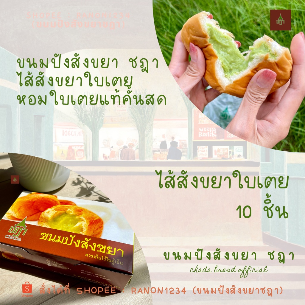 [รอบส่ง 8 ต.ค.] ขนมปังสังขยาชฎา ไส้สังขยาใบเตย | กล่อง 10 ชิ้น  | Chada Pandan Custard Bun CHADA流心包