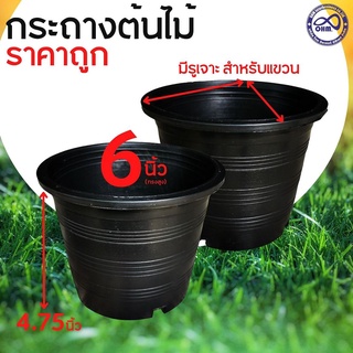 สีดำ กระถางpp กระถางพลาสติกหนา กระถาง6นิ้ว