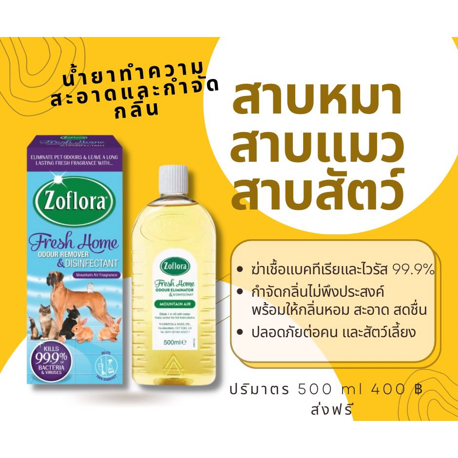 Zoflora (โซฟลอร่า) น้ำยาทำความสะอาดและกำจัดกลิ่นไม่พึงประสงค์