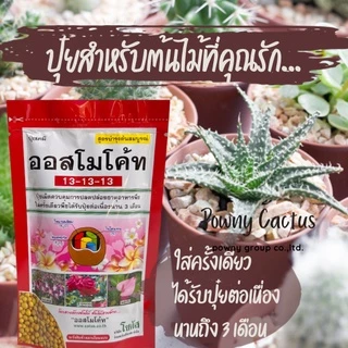 ปุ๋ยออสโมโค้ท สูตรบำรุงต้น สูตรเร่งดอก แบ่งขายและแบบห่อ ราคาถูก พร้อมส่งจ้า ปุ๋ยละลายช้า ปุ๋ยแคคตัส