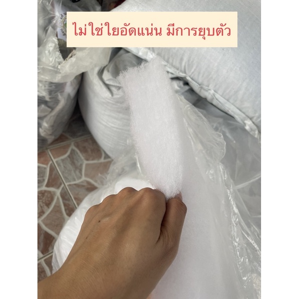 รูปภาพ 5