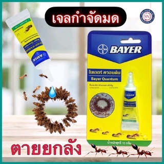 Bayer Quantum เจลกำจัดมด ไบเออร์ ควอนตั้ม 12 กรัม ฆ่ามด กำจัดมด เหยื่อกำจัดมด เจลมด