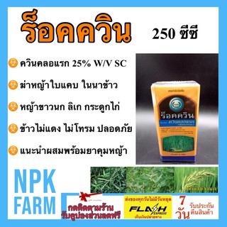 ร็อคควิน ควินคลอแรก 25% W/V SC 250 ซีซี สารกำจัดวัชพืช ในนาข้าว กำจัดหญ้าข้าวนก หญ้านกสีชมพู ลิเก กระดูกไก่ ข้าวไม่แดง