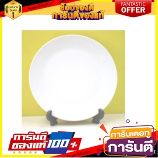 จาน PORCELAIN ตื้น 9.25" ROYAL PORCELAIN WHITE WARE อุปกรณ์ใส่อาหาร PORCELAIN FLAT PLATE 9.25" ROYAL PORCELAIN WHITE WAR