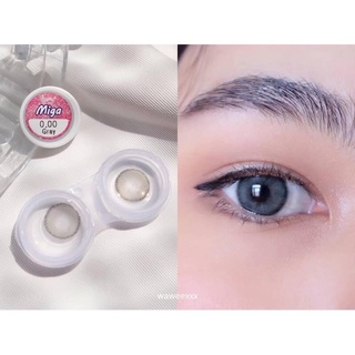 🌿Bigeyes Miga Brown/Gray🌿สายตาปกติ(Lovely lens)