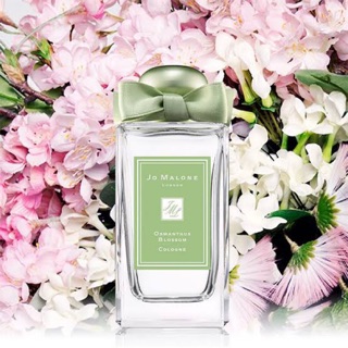 Osmanthus Blossom Cologne