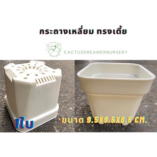 ลด50%ใส่โค้ดINCS83L -กระถาง เหลี่ยมเตี้ยขนาด9.5x9.5x8.5cm.