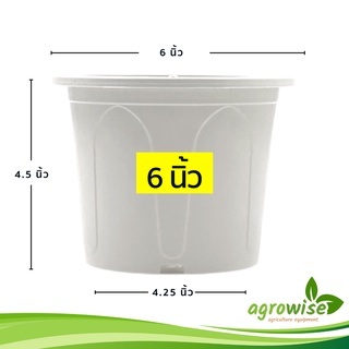 กระถางต้นไม้ใหญ่
 กระถางต้นไม้มินิมอล
 กระถางต้นไม้
 6 นิ้ว สีขาว