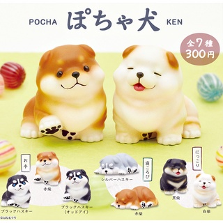 (เพิ่ม 5 แบบพร้อมส่ง) Gachapon กาชาปองน้องหมาชิบะอ้วน Pocha Ken โมเดลหมา