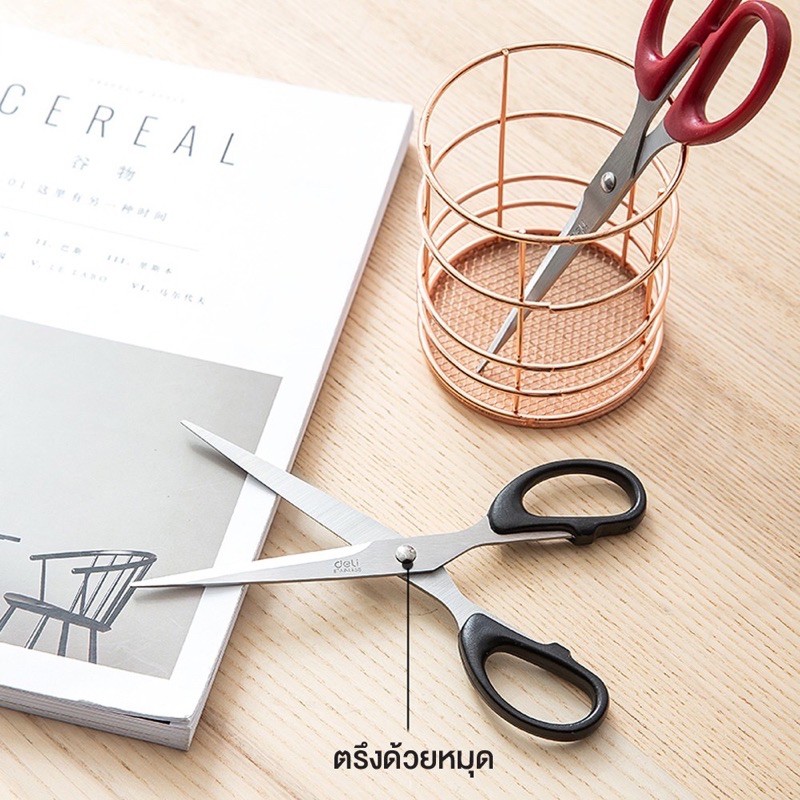 Deli กรรไกรสแตนเลส ขนาด 8.25/7 นิ้ว รุ่น 6034/6010/6009 พร้อมส่ง มีเก็บปลายทาง COD US.Station - รูปที่ 5