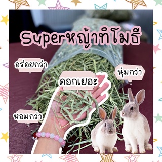 🌾Superหญ้าทิโมธี🌾 ดอกเยอะ/หอม/นุ่ม/อร่อยกว่า เป็นอาหารสำหรับสัตว์ฟันแทะทุกชนิด กระต่าย ชินชิล่า แพรี่ด็อก แกสบี้.