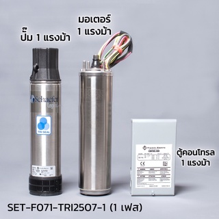 FRANKLIN (แฟรงคลิน) ชุดปั๊มน้ำบาดาล (ปั๊มซับเมอร์ส) Franklin รุ่น TRI-SEAL ขนาด 4 นิ้ว  (SET-F071-TRI2507-1)