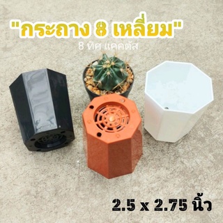 กระถาง 2.5 นิ้ว 8 เหลี่ยม // กด 100 ใบ 550 ฿ -- กระถาง 8 เหลี่ยม -- แคคตัส กระบองเพชร กระถางพลาสติก