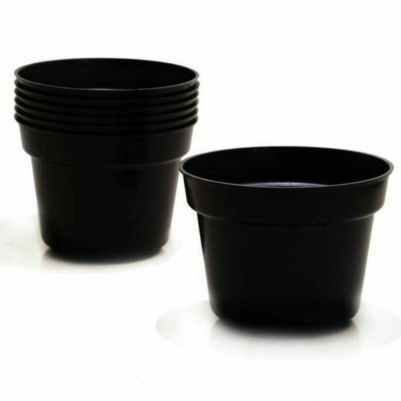 THICK GRACE BLACK POT DM 17 GRACE THICK