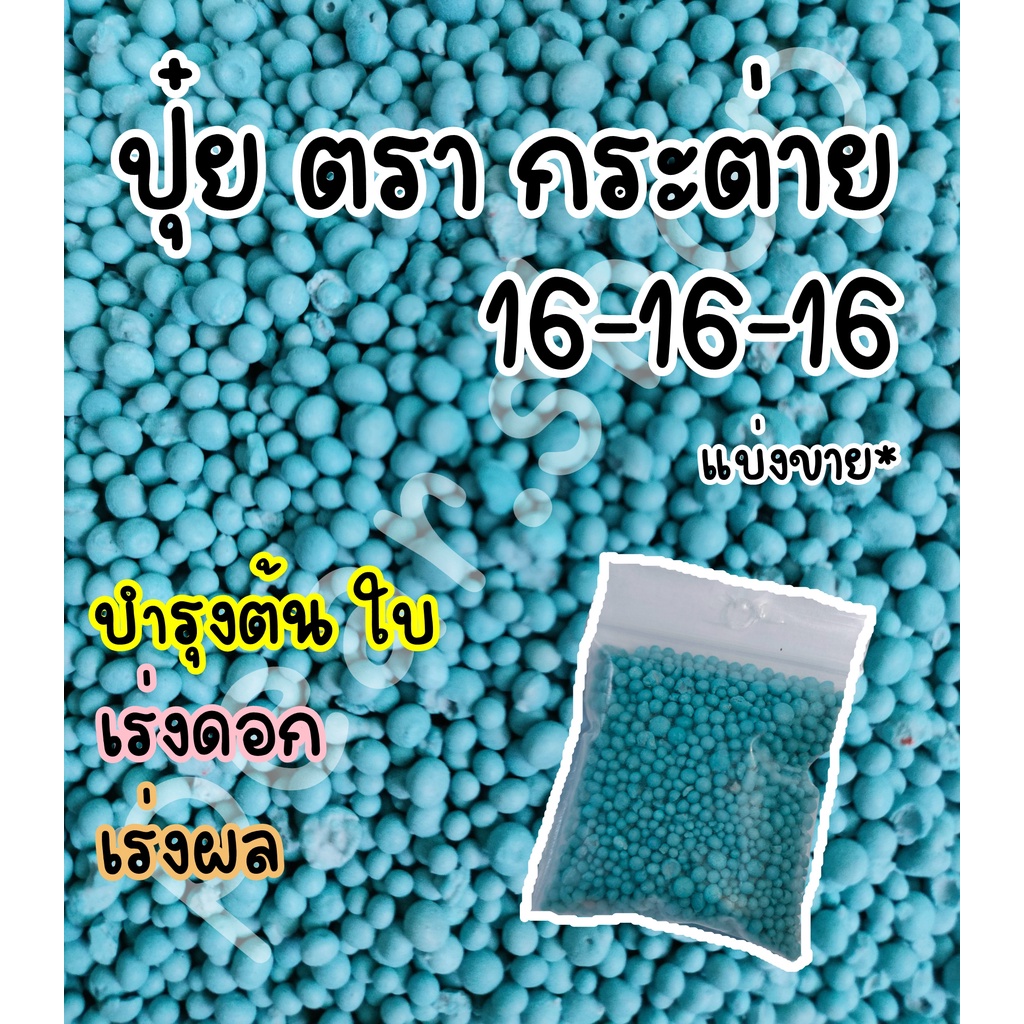 ปุ๋ย 16-16-16 สีฟ้า ตรากระต่าย แบ่งขาย