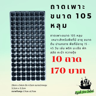 ถาดเพาะกล้า  ถาดเพาะต้นอ่อน ผัก แพ็ค 10 ถาด ขนาด 105 หลุม