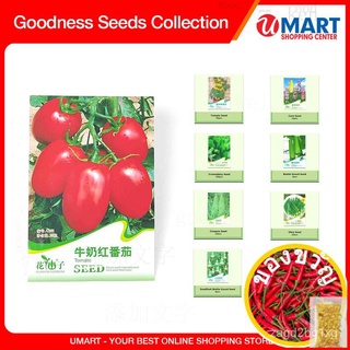 Goodness Seedsผักผลไม้สมุนไพรเมล็ดพืชHigh Quality Seeds CollectionชุดAเสื้อ/เมล็ด/ผักกาดหอม/มะละกอ/ดอกทานตะวัน/บ้านและสว