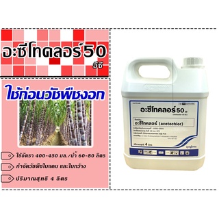 อะซีโทคลอร์ 50 อีซี - อะซีโทคลอร์ ซินเจนทา ขนาดบรรจุ 4 ลิตร