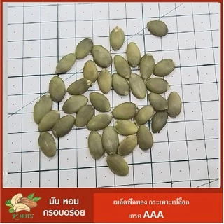 เมล็ดฟักทอง ชนิดดิบ อบพร้อมทาน เกรด AAA ขนาด 250 กรัม 500 กรัม 1 กิโลกรัม