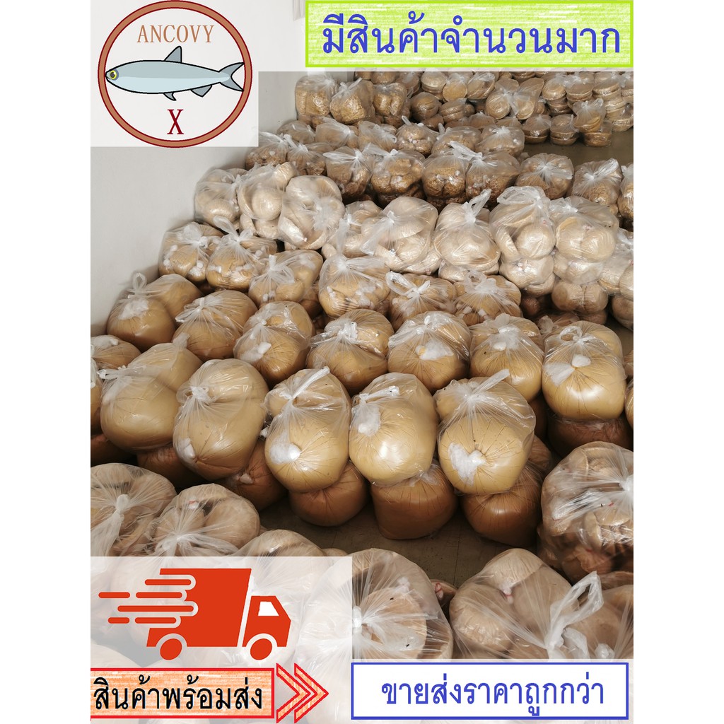 น้ำตาลมะพร้าว (แบบปึกฝาเล็ก) น้ำตาลปึก ขนาด 450 - 500 กรัม ของแท้จากเมืองเพชรบุรี - รูปที่ 2