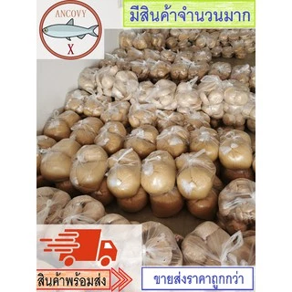 น้ำตาลมะพร้าว (แบบปึกฝาเล็ก) น้ำตาลปึก ขนาด 450 - 500 กรัม ของแท้จากเมืองเพชรบุรี