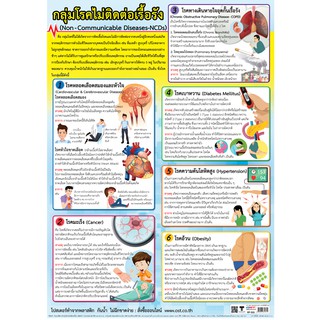 โปสเตอร์พลาสติก PP กลุ่มโรคไม่ติดต่อเรื้อรัง #EP-531