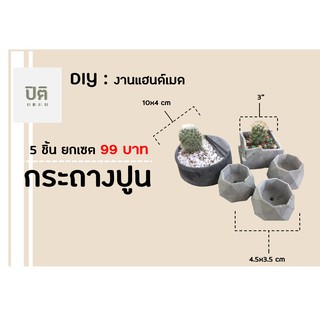 กระถางกระบองเพชรสุดคุ้ม 99บาท 5ใบ