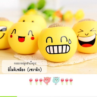 กระถางต้นไม้ รูปอิโมจิน่ารัก😊😁 DIY พร้อมชุดปลูกและเมล็ดพืช