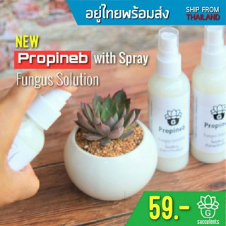 โพรพิเนป (Propineb Spray) ตัวช่วยป้องกันและกำจัดเชื้อราโรคพืช แบบสเปรย์ New G Succulents Fungus Solution