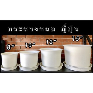 🪴กระถางทรงกลม ญี่ปุ่นพร้อมถาดรอง  มินิมอล 8”10”12”15”  พลาสติกหนา A