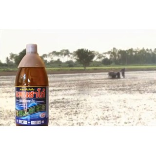 แพนซาโก้ ( เพนดิเมทาลิน ) ยาคุมหญ้าน้ำเหลือง ผลิตภัณฑ์  จาก.. MAXAGRO  ขนาด 1 ลิตร