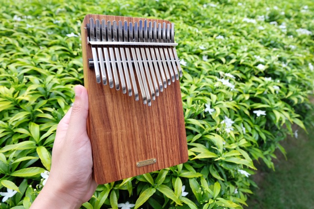 พร้อมส่ง???? Lingting LT-K17P 17 Keys Kalimba คาลิมบา เปียโนมือ ...