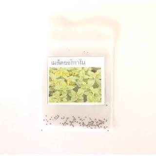 เมล็ด Oregano/ออริกาโน ประมาณ 100 เมล็ด