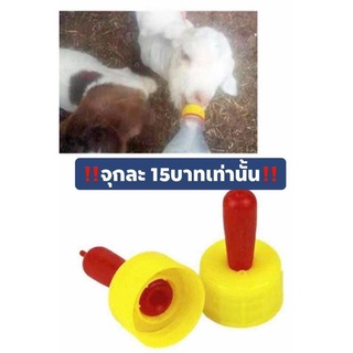 จุกให้ขวดนมสัตว์ทุกชนิด