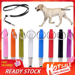 ♦RAN♦Stainless Steel Dog Training Whistle Pets Ultrasonic Sound Flute Anti-lost Tool