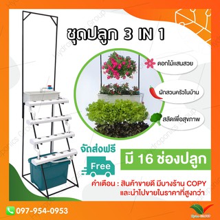 ชุดปลูกผักไฮโดรโปนิกส์ 16 ช่องปลูก รุ่นชุดปลูก 3 in 1 by hydroponicgroup **ฟรี!!ค่าจัดส่ง