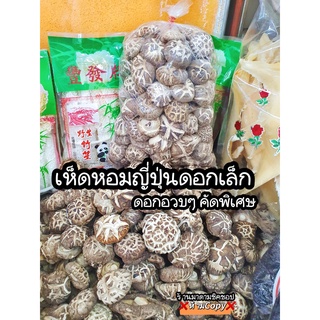 เห็ดหอมญี่ปุ่น #ดอกเล็ก ปริมาณ200กรัม/ถุง รับประกันดอกอวบๆ ใหญ่ อร่อย หอม สด ใหม่ ตุ๋น ต้ม ทอด ผัด อร่อยเต็มปากเต็มคำ