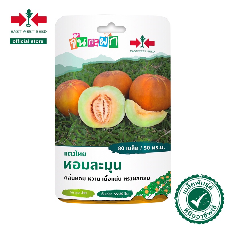 ศรแดง เมล็ดพันธุ์กะเพรา กลิ่นไท (East-West Seed) เมล็ดพันธุ์ผัก เมล็ดพันธุ์ ผักสวนครัว ตราศรแดง
