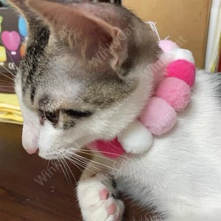 Winky wink 🐱ปลอกคอแมว ปอมปอมดอกไม้ สุดแสนน่ารัก ปลอกคอแมว ปลอกคอแมว ปลอกคอหมา ปลอกคอน่ารัก