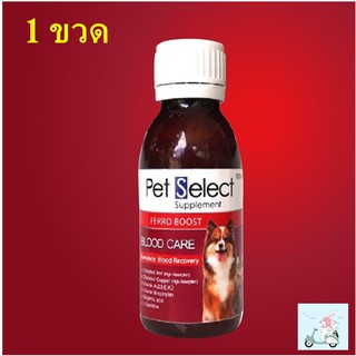 Ferro-Boost 100 ml Pet Select