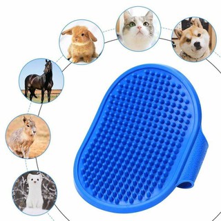 แปรงซิลิโคนอาบน้ำสุนัข (Pet Brush)