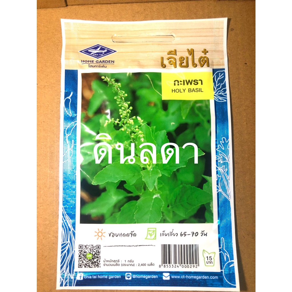 กะเพรา เมล็ดพันธุ์เจียไต๋ สินค้าพร้อมส่ง