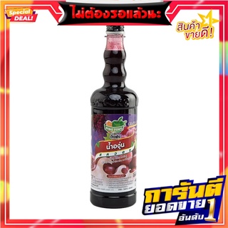 ติ่งฟง น้ำสควอช รสองุ่น 760 มิลลิลิตร Ding Fong Grape Squash 760 ml