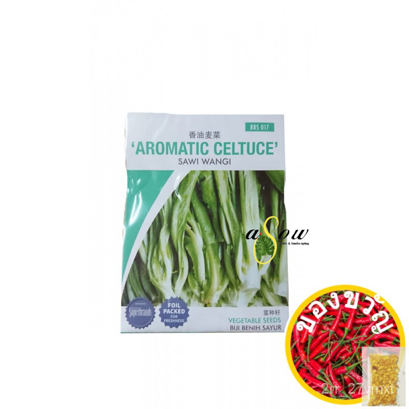 Seeds Bbs Aromatic Celtuce Vegetable Seeds Biji Benih Sayur Sawi Wangi